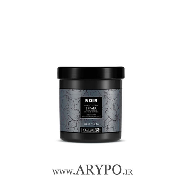 ماسک مو ترمیم کننده بلک پرفشنال مدل NOIR REPAIR