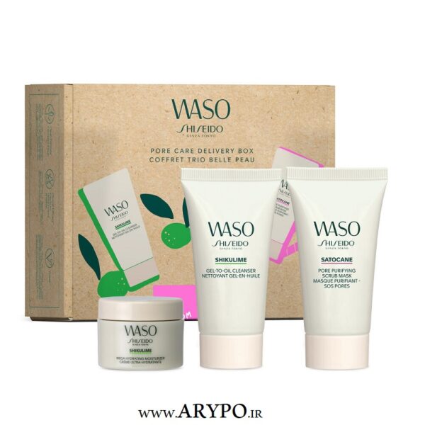 باکس جلوگیری از منافذ پوستی SHISEIDO مدل WASO